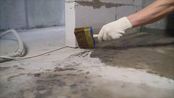 SJ Waterproofing Pros Exterior Waterproofing coverage map for Newfane, NY and surrounding area